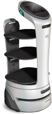kt_robot